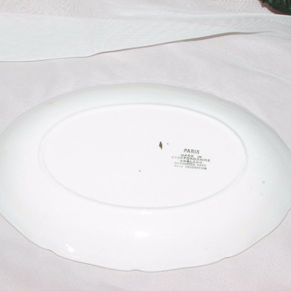 PARIS Vintage Relish Dish Pink Roses STAFFORDSHIRE ENGLAND 8 1/4" Oval Platter - Picture 4 of 6